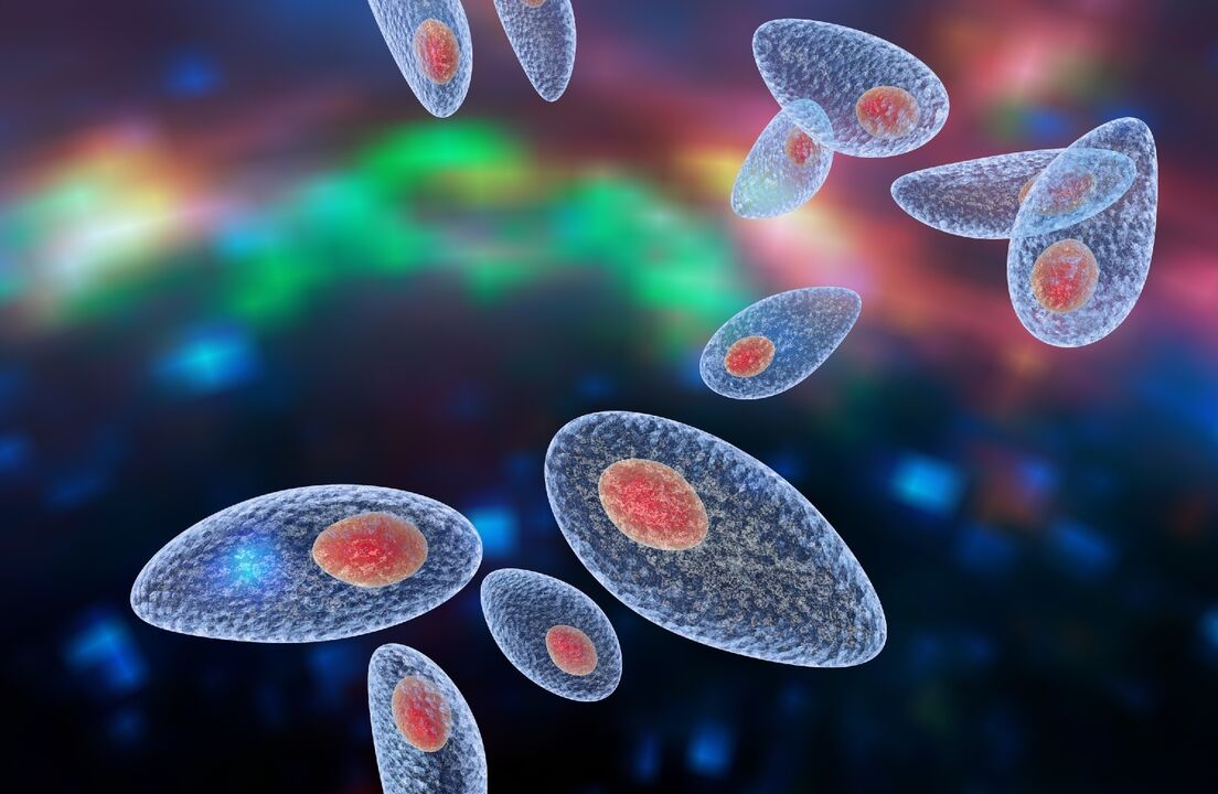 causative agent of toxoplasmosis in the body